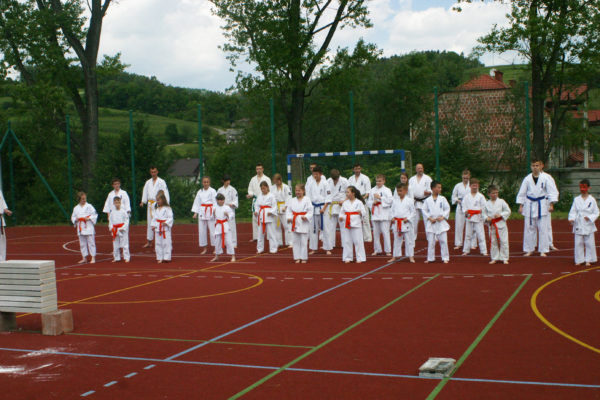 Pokaz Karate podczas Dnia Dziecka w Łososinie Górnej