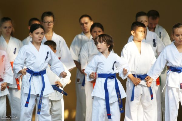 Pokaz Karate Kyokushin podczas imprezy „Lato w Parku”