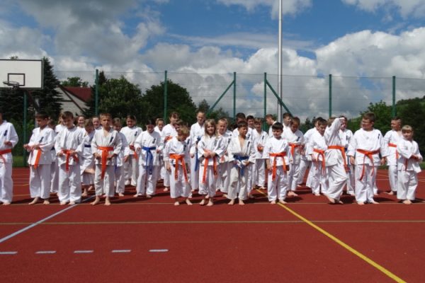 Pokaz Karate Kyokushin podczas pikniku przy ZSS nr 4 w Limanowej!