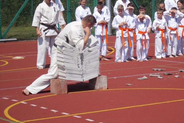 Pokaz Karate podczas Pikniku Rodzinnego w Łososinie Górnej