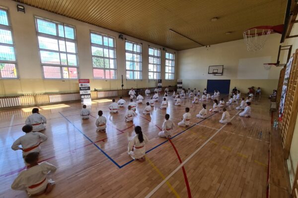 Dodatkowa sesja letniego egzaminu na stopnie szkoleniowe kyu w dojo Limanowa