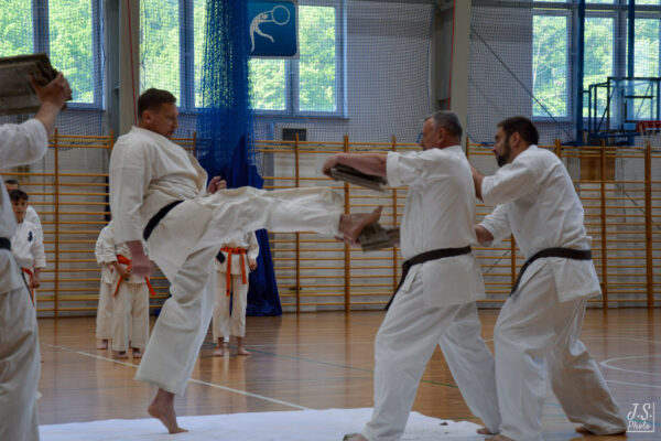 Pokaz Karate Kyokushin podczas Dnia Sportu w Ekonomie!